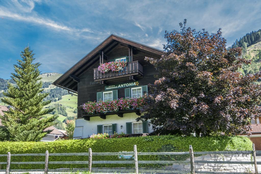 Ferienhaus Antonia ドルフガシュタイン エクステリア 写真